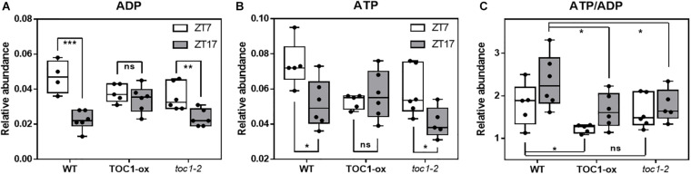 FIGURE 4