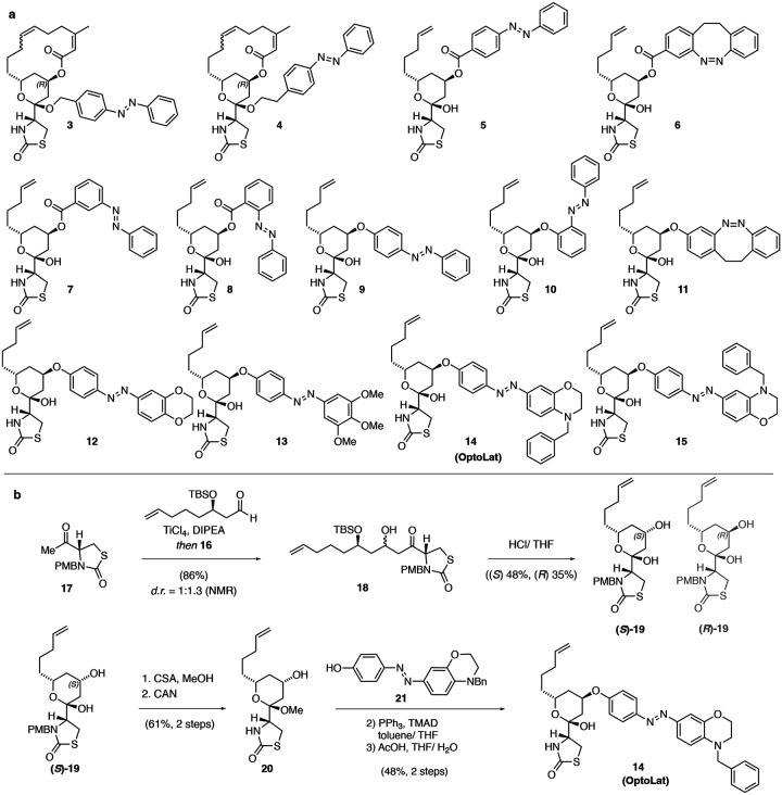 Figure 3: