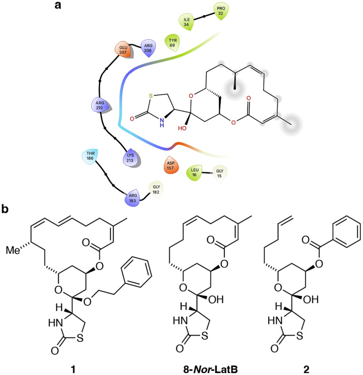 Figure 2: