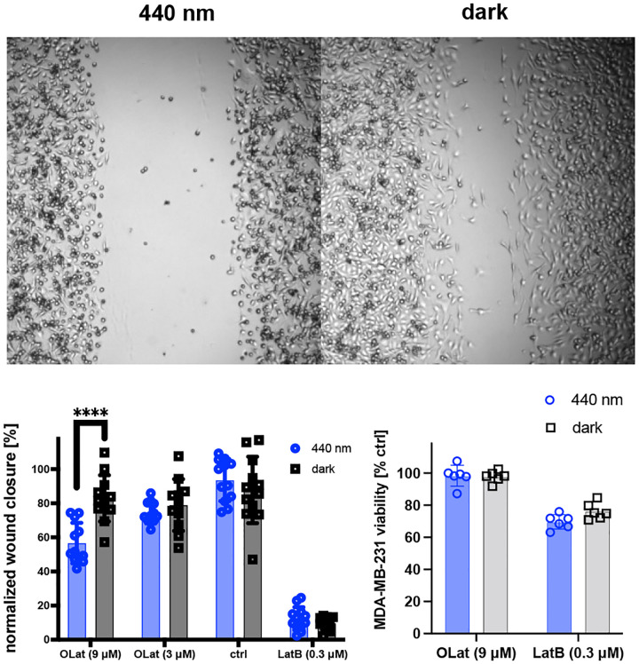 Figure 6: