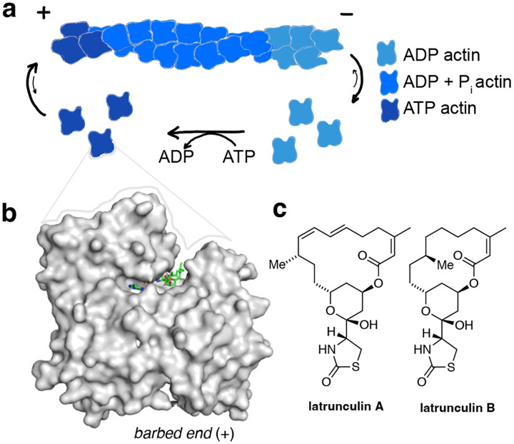 Figure 1: