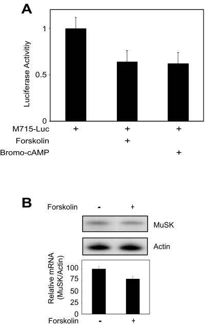 FIG. 8.