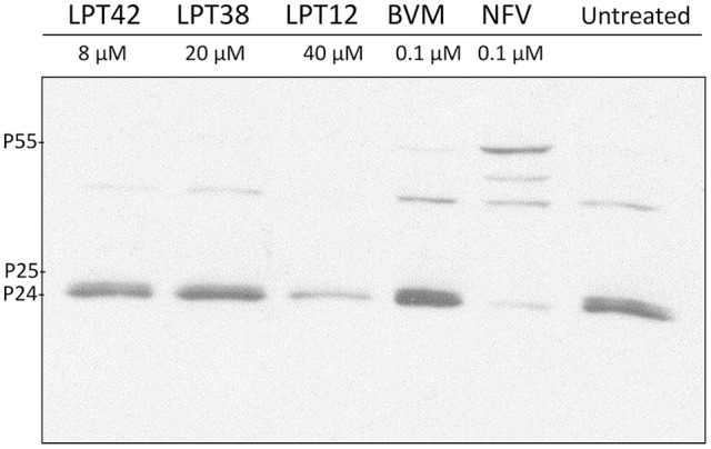 Figure 10