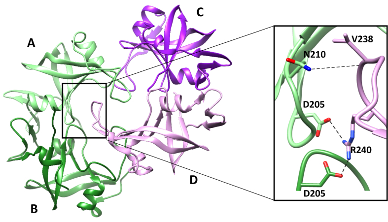 Fig. 2