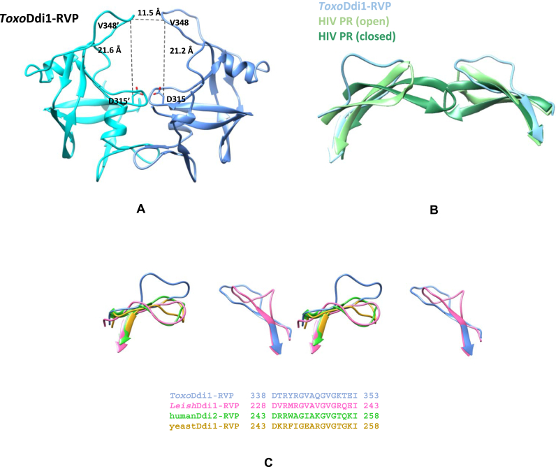 Fig. 11