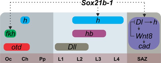 Figure 6.