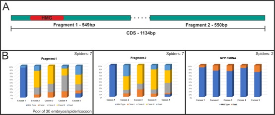 Figure 2—figure supplement 1.