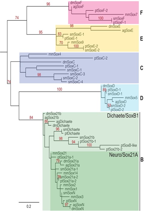 Figure 1—figure supplement 1.