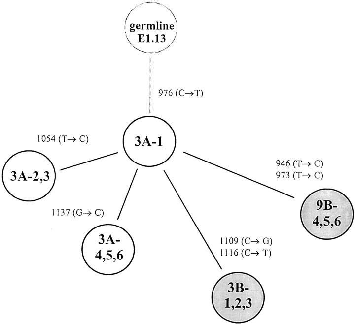 Figure 3.