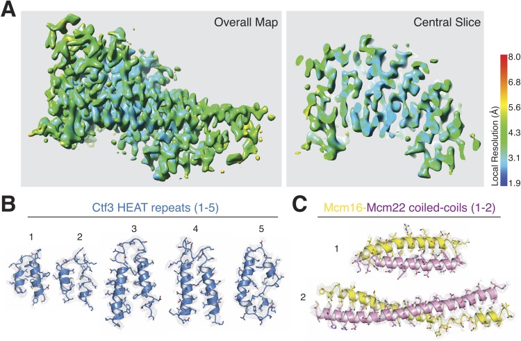 Figure 2—figure supplement 1.