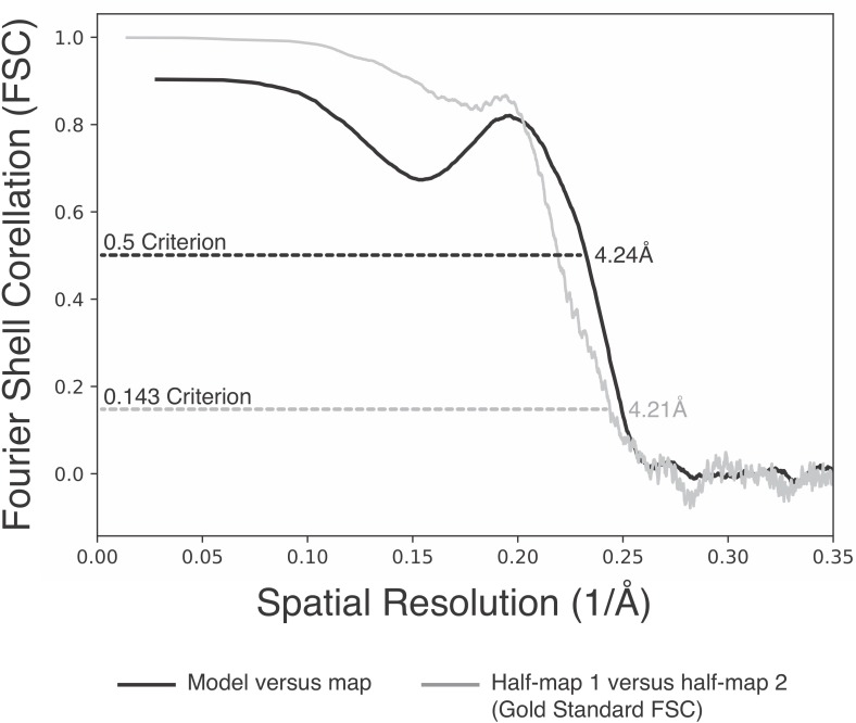 Figure 2—figure supplement 2.