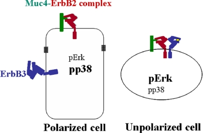 Figure 12.