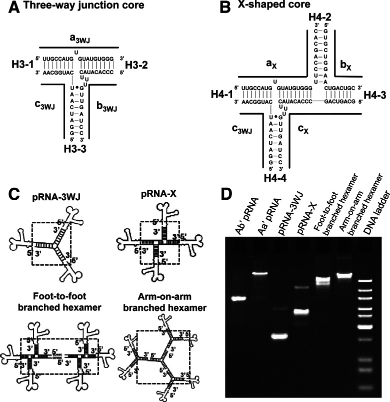 FIGURE 5.