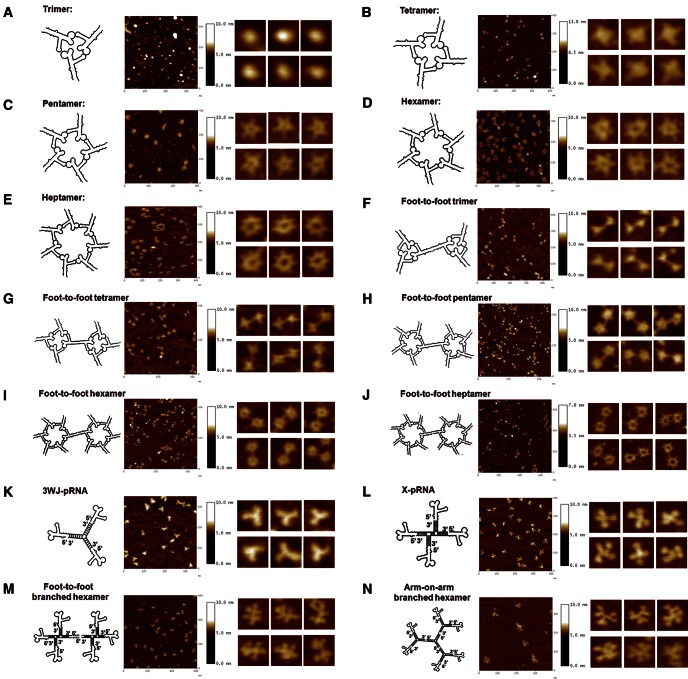 FIGURE 6.