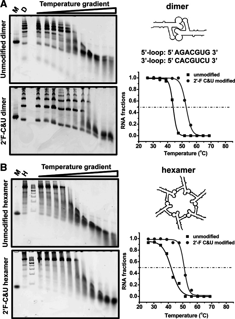 FIGURE 9.