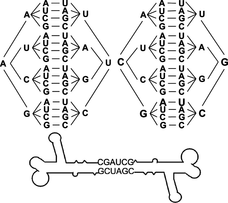 FIGURE 3.