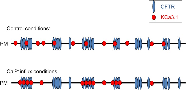 Fig 5