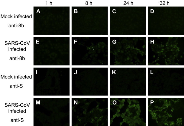 Fig. 4