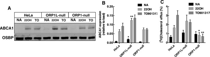 FIGURE 7: