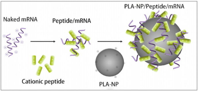 Fig. 8