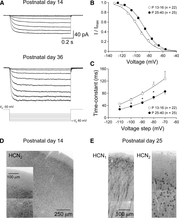 FIG. 8.