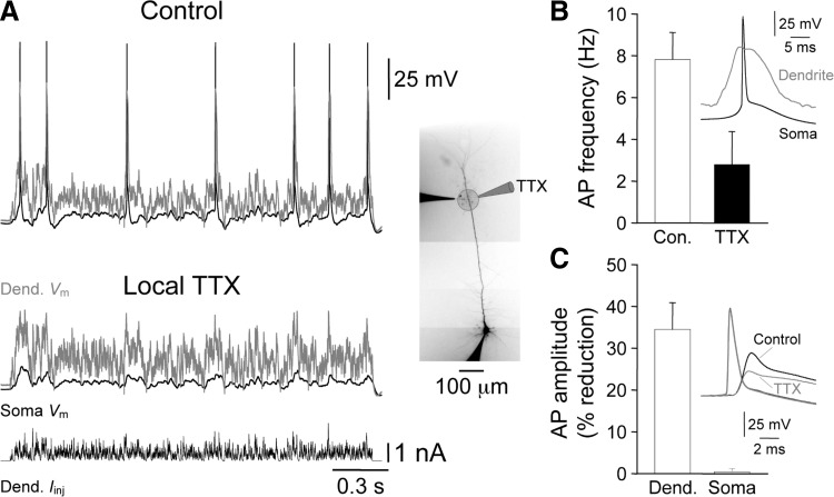 FIG. 11.