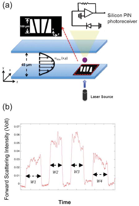 Fig. 1