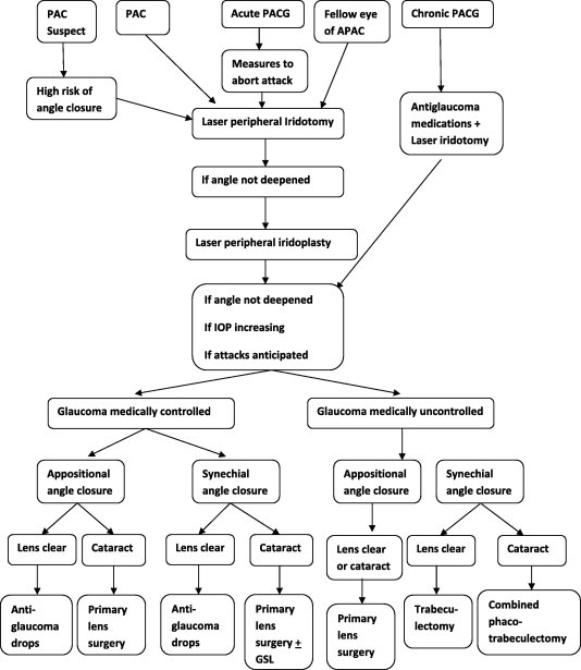 Flow chart 1