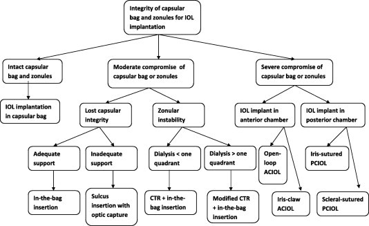 Flow chart 2