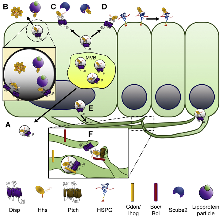 Figure 3,