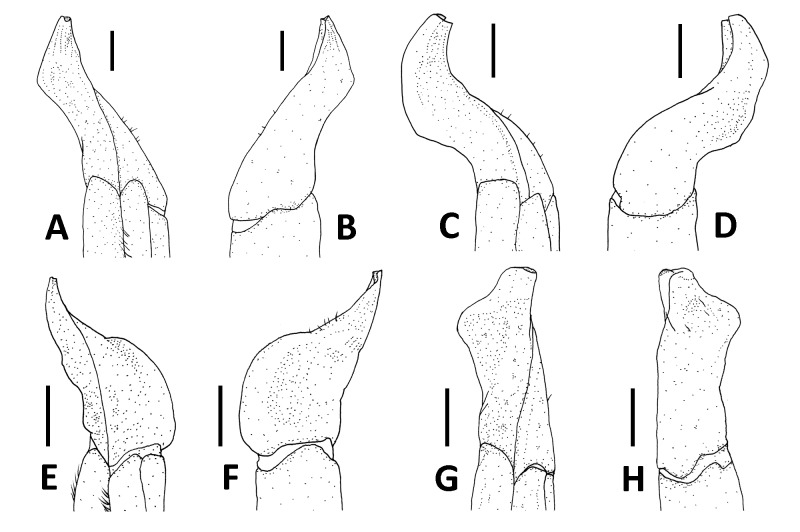 Fig. 9.