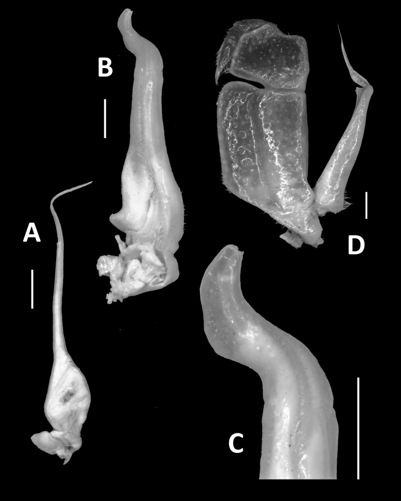 Fig. 4.