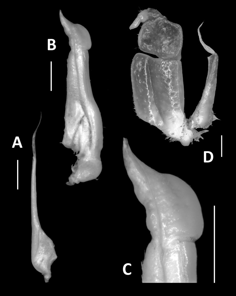 Fig. 6.