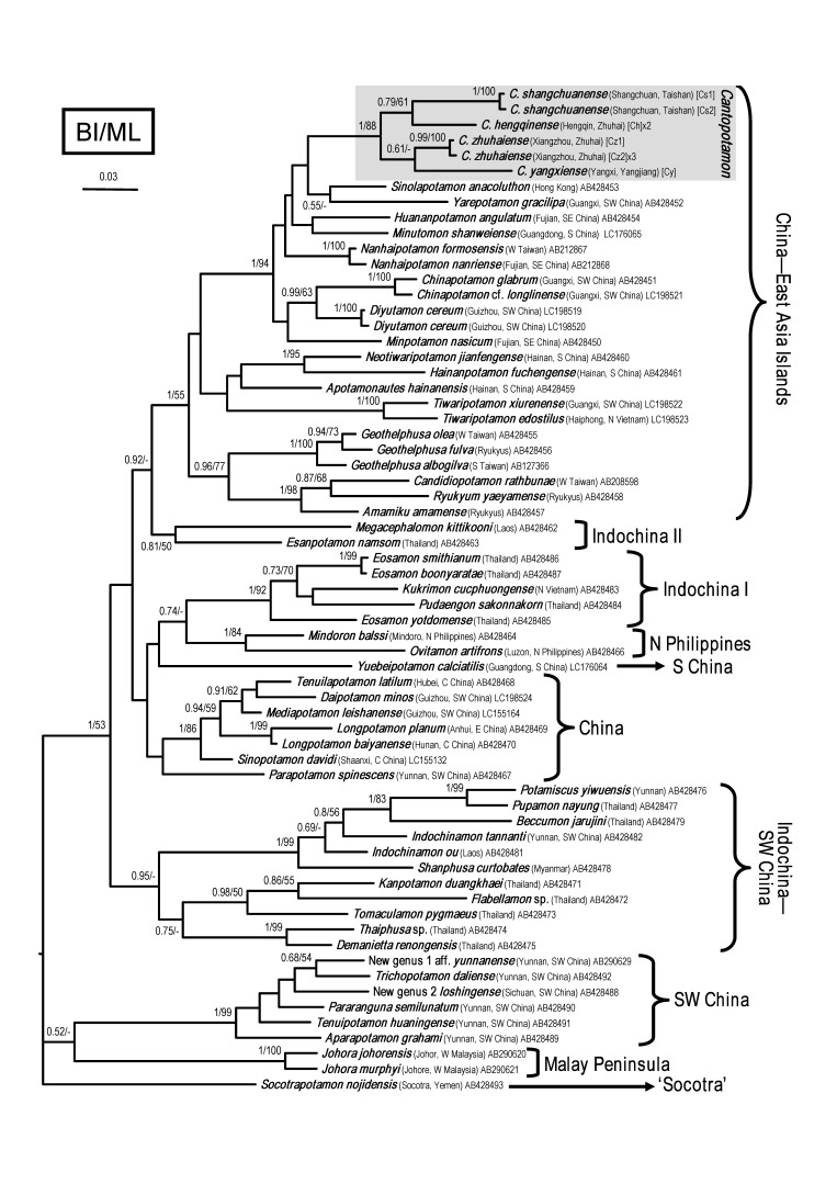 Fig. 13.