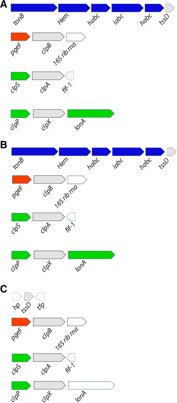 Fig. 2