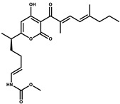 graphic file with name pharmaceutics-13-01265-i040.jpg