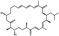 graphic file with name pharmaceutics-13-01265-i029.jpg