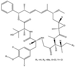 graphic file with name pharmaceutics-13-01265-i076.jpg