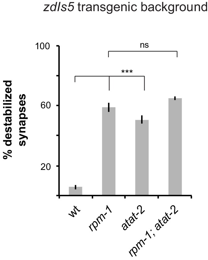 Figure 5—figure supplement 1.