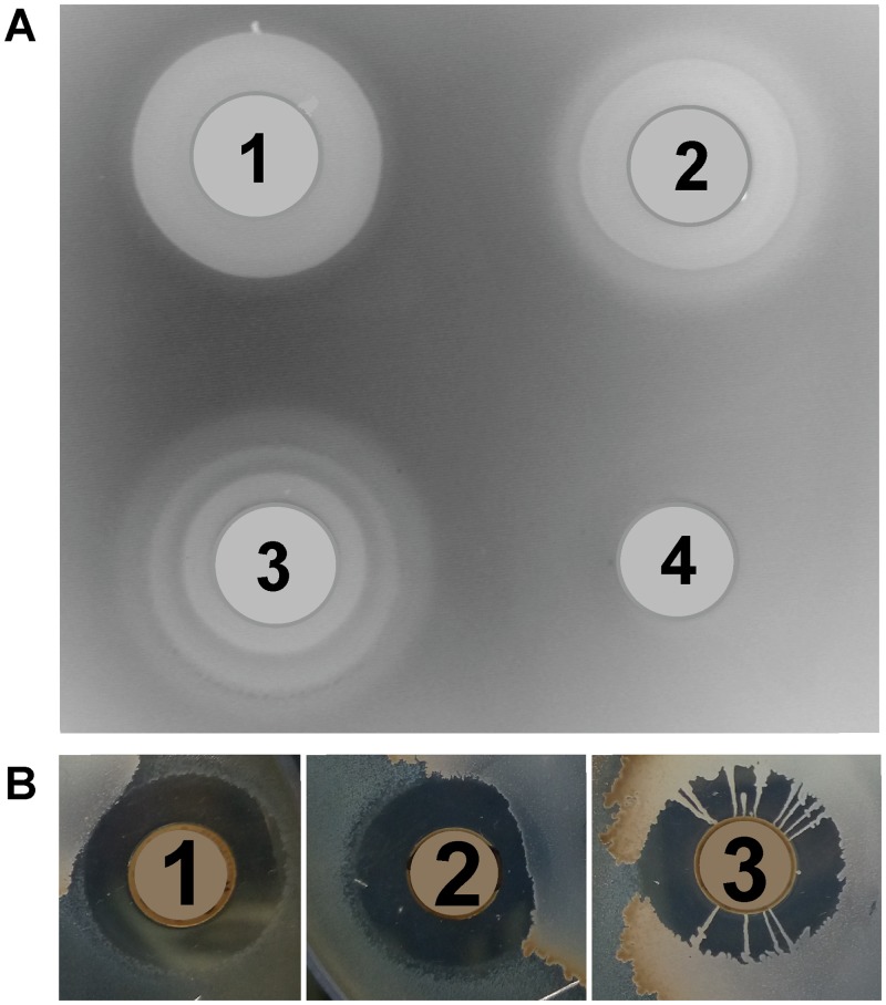 Fig 2