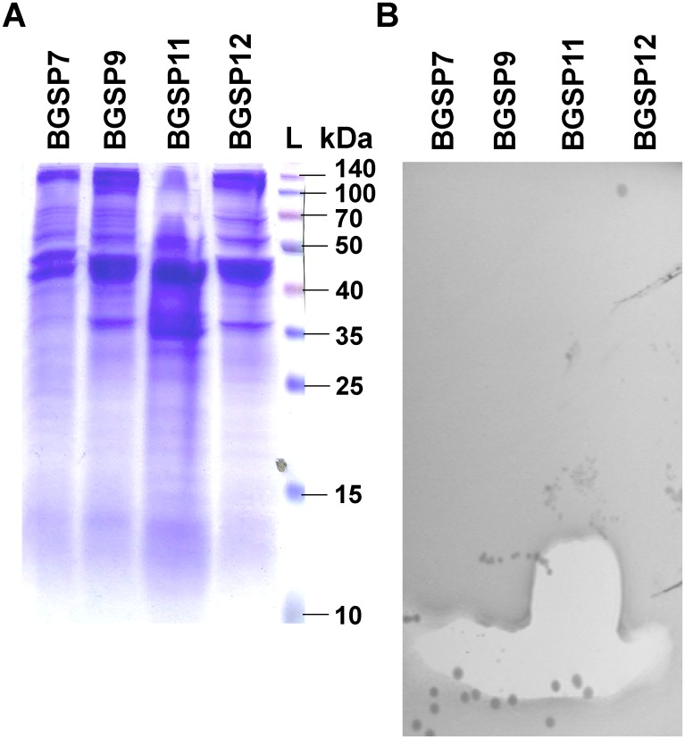 Fig 5