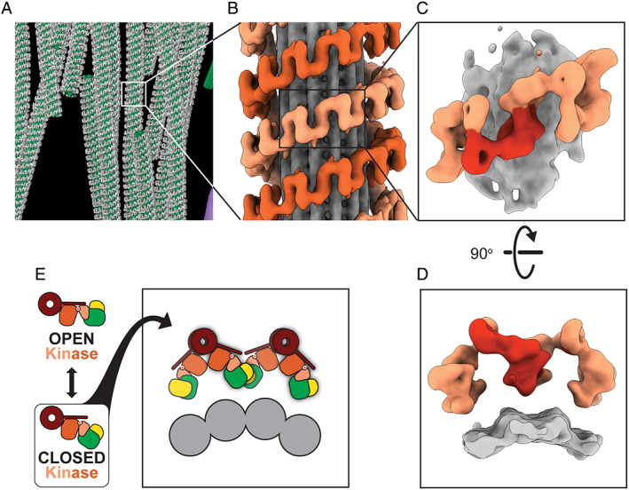 FIG 3