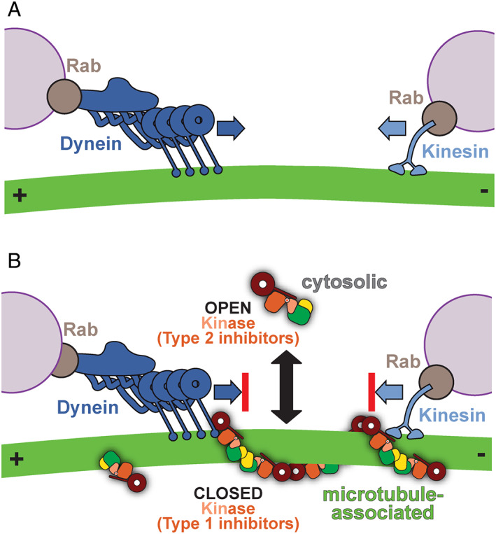 FIG 4