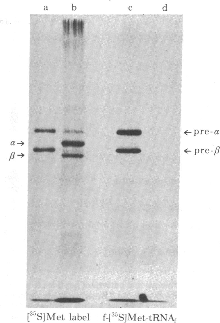 graphic file with name pnas00494-0290-a.jpg