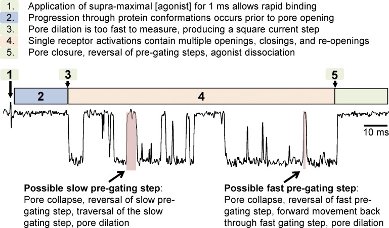 Figure 7.