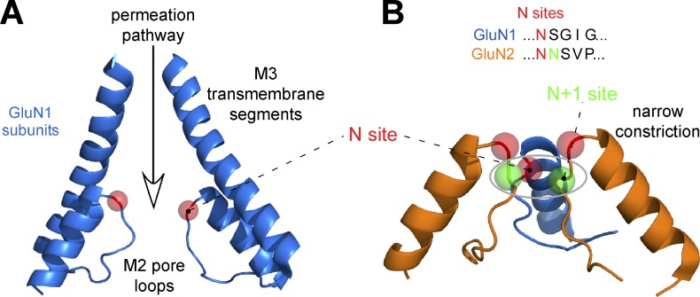 Figure 9.