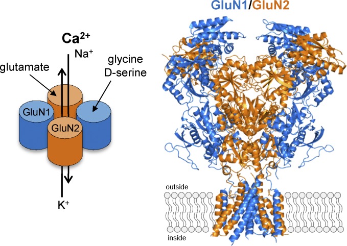 Figure 2.