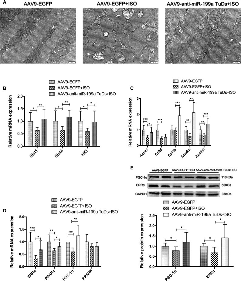 Figure 6