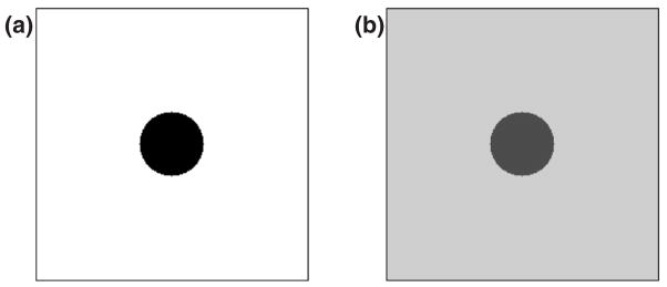 FIG. 1