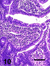 Fig. 10
